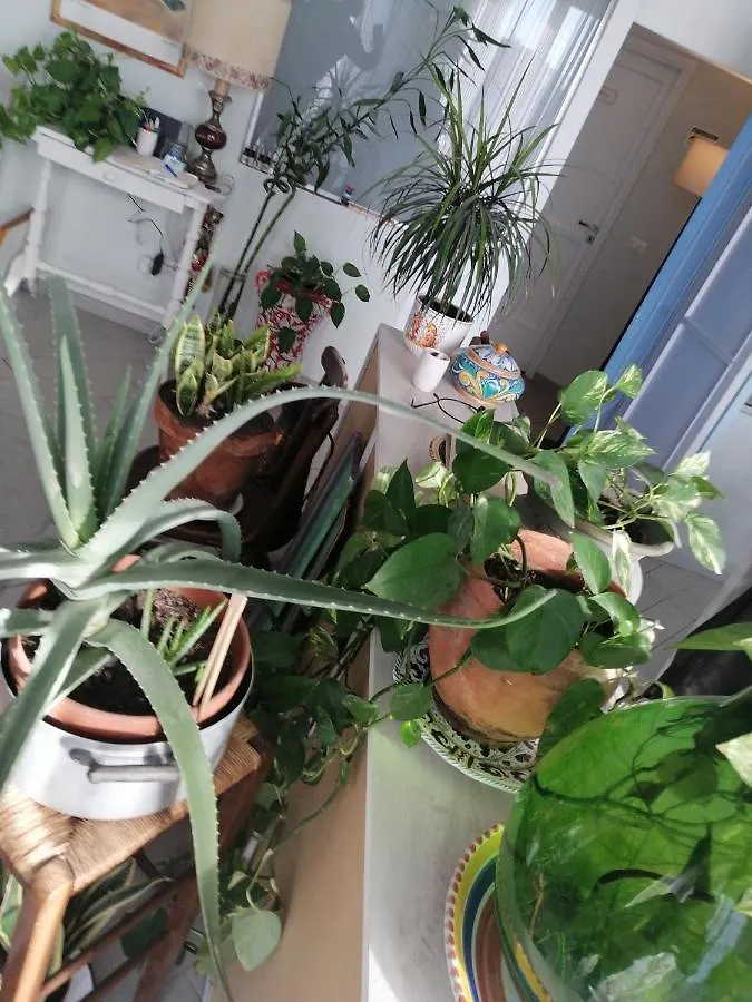 DOMUS CORALLA BnB Racconti Di Viaggio Aeroporto di Catania Fontana Rossa Bed & Breakfast