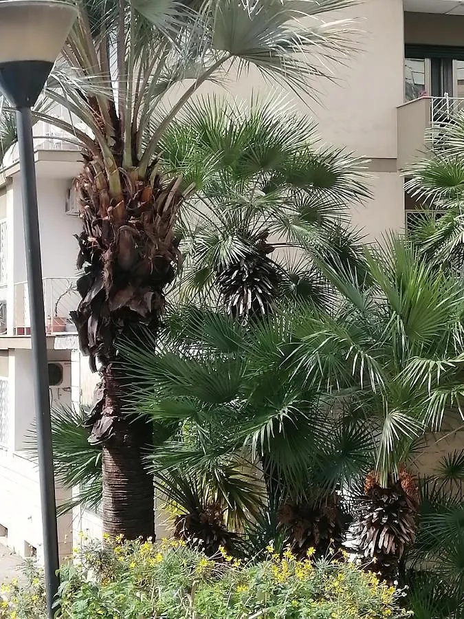 Bed & Breakfast DOMUS CORALLA BnB Racconti Di Viaggio Aeroporto di Catania Fontana Rossa Italia