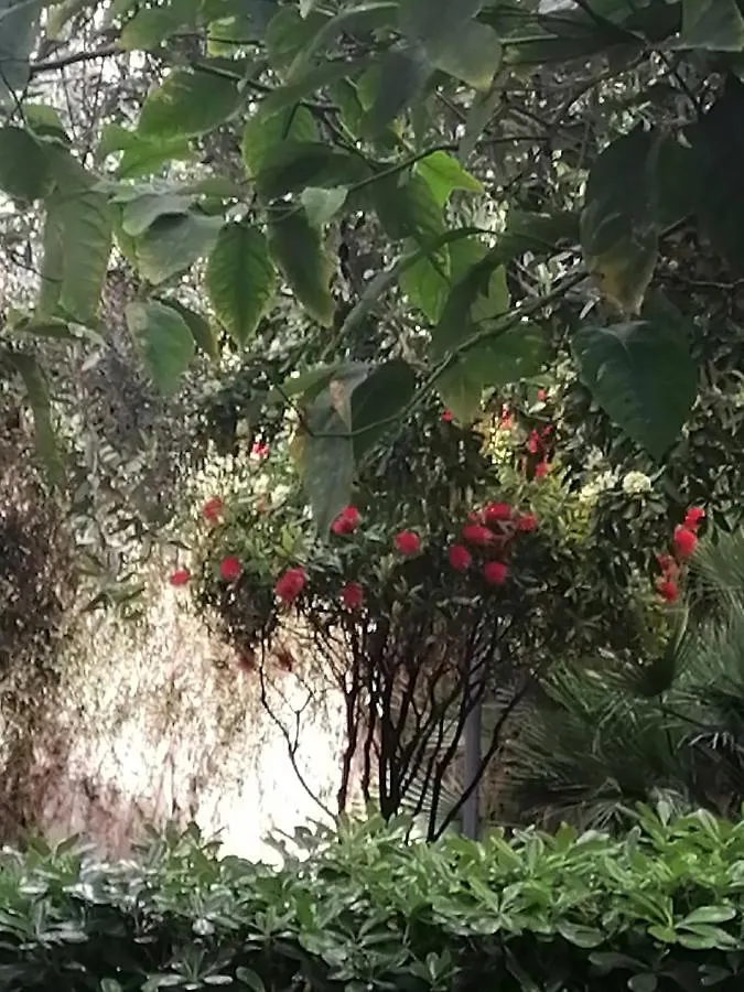 DOMUS CORALLA BnB Racconti Di Viaggio Aeroporto di Catania Fontana Rossa